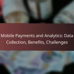 Mobile Payments and User-Friendliness: Design, Practices, Challenges