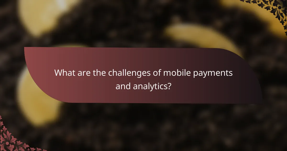 What are the challenges of mobile payments and analytics?